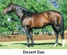 desertsun.jpg (12460 bytes)